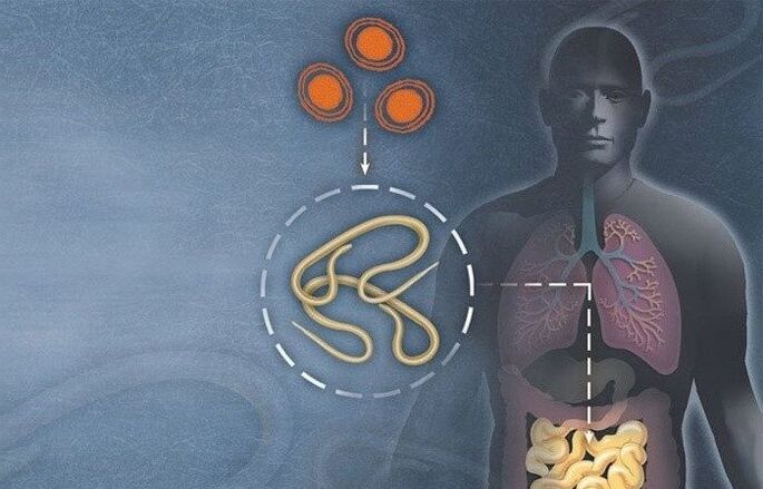 Parásitos no intestino humano