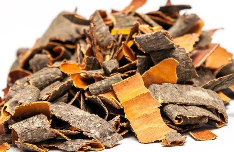 casca de álamo contra parasitos