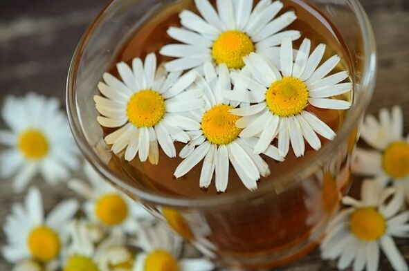 Infusión medicinal a base de camomila contra parasitos do corpo
